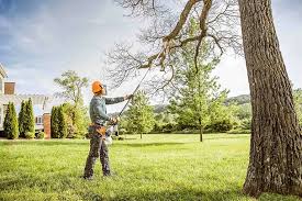 Best Leaf Removal  in Oceano, CA