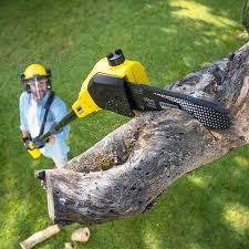 Best Firewood Processing and Delivery  in Oceano, CA