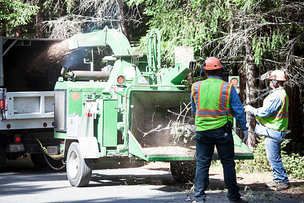 Best Hazardous Tree Removal  in Oceano, CA