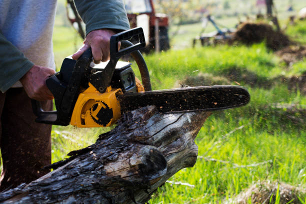 Best Soil Testing and Treatment  in Oceano, CA